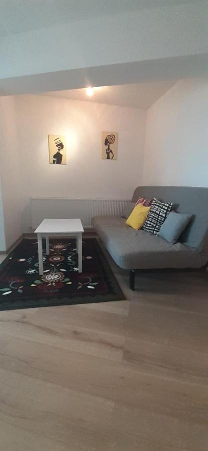 Apartament Central. Bloc Nou. Leilighet Bacău Eksteriør bilde